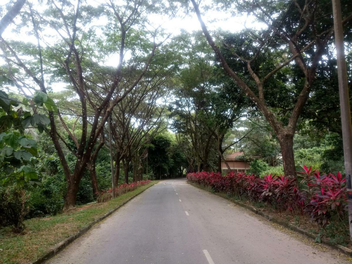 Janaview Taiping Hotel エクステリア 写真