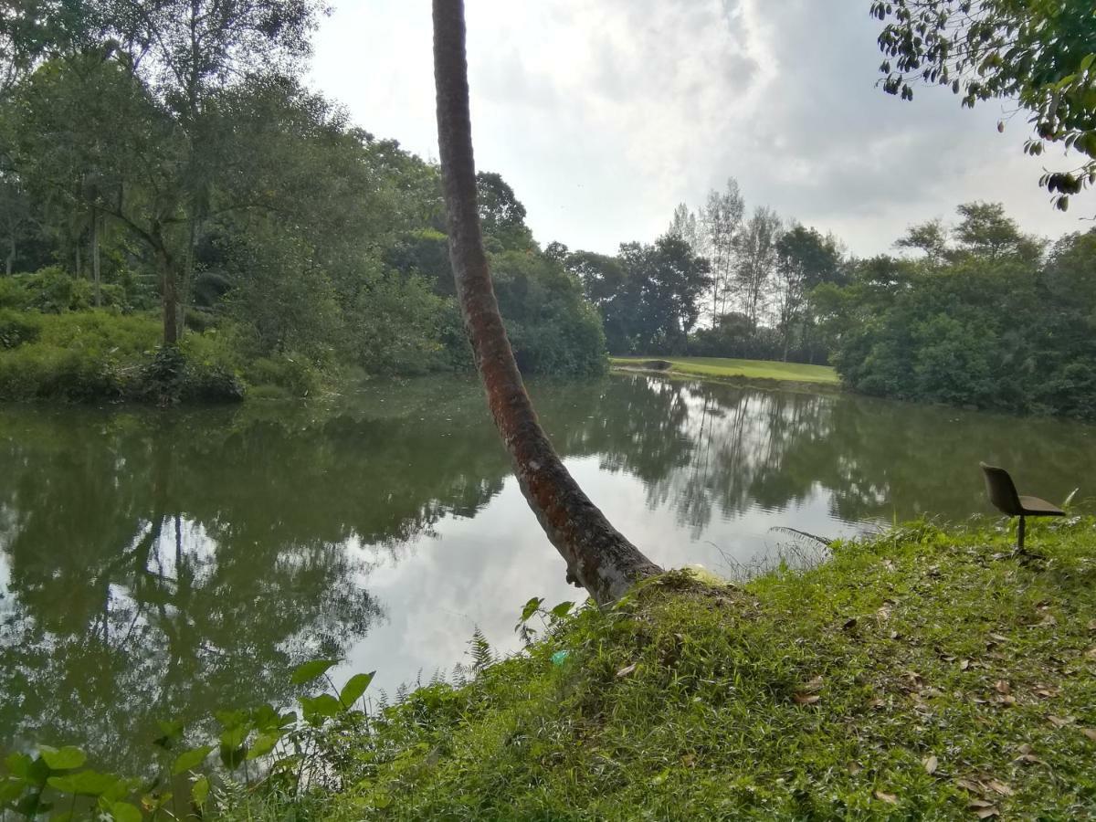 Janaview Taiping Hotel エクステリア 写真